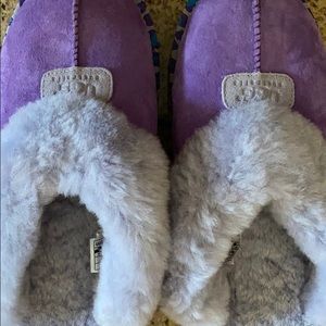 Purple ugg slippers